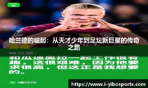 亿博体育官网
